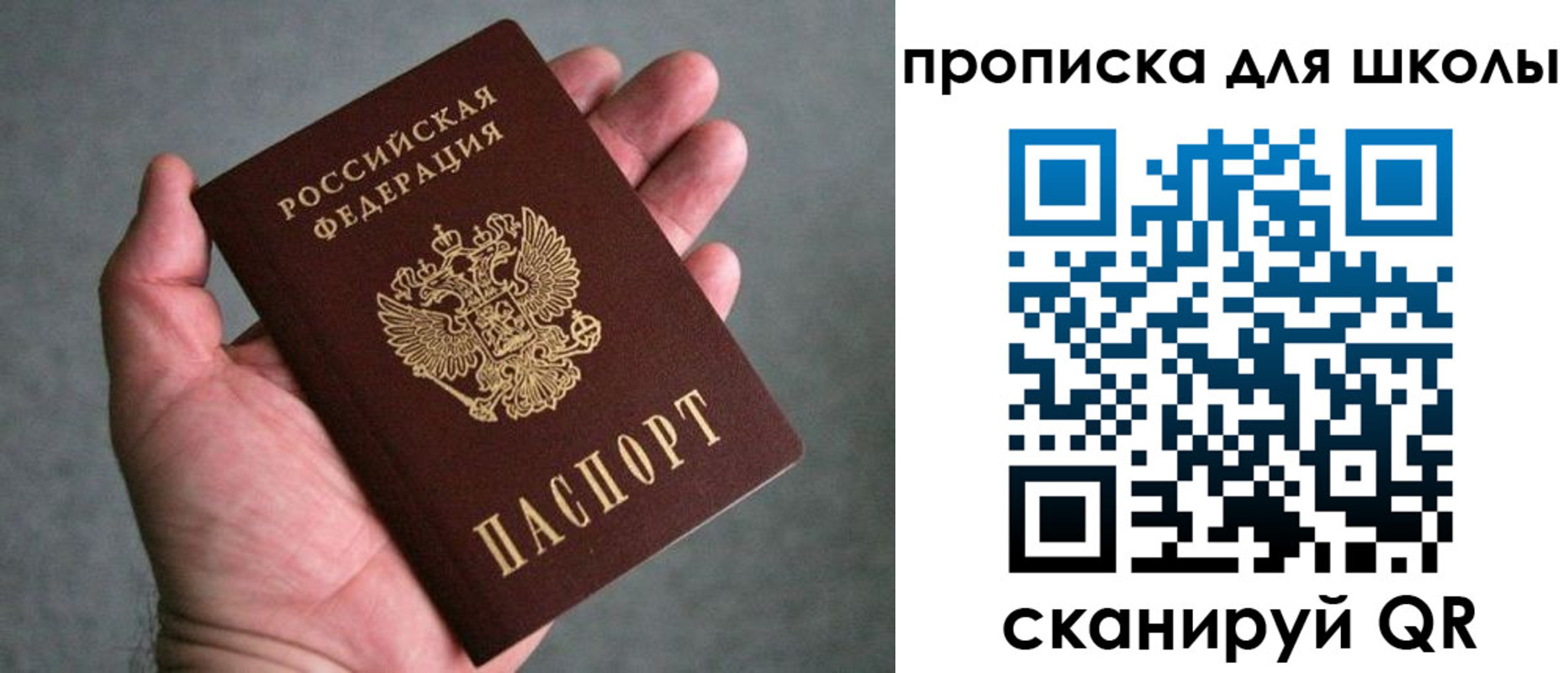 прописка штамп в Лосино-Петровском